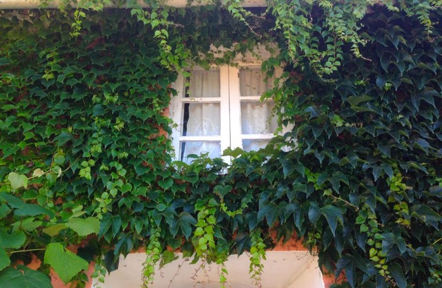 Casa Lourido