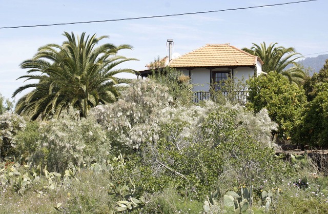 Casa Lucia II: côté ouest ensoleillé de La Palma, vue sur la mer, jardin subtropical.