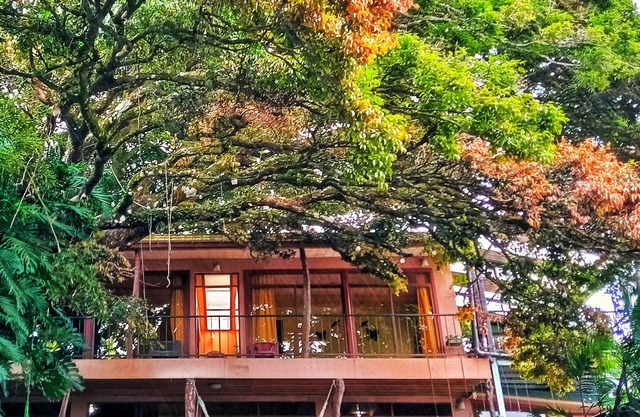 Casa Mariposa Cottage situé dans une ferme de café
