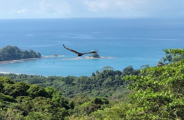 Casa Naranja spacious home with pool surrounded by forest with superb bay view