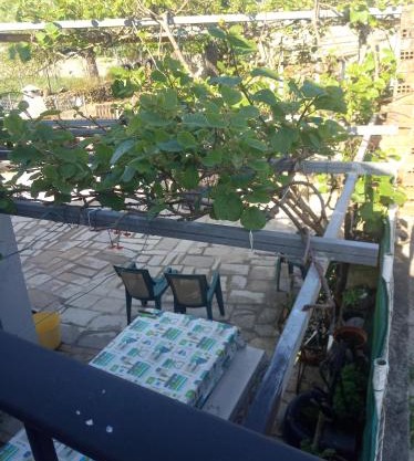 Casa Nodar