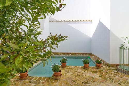 Casa Palacio Vida