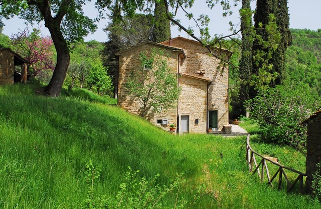 Casa Piccina - Nichée parmi les grands cyprès, de chênes anciens et ... silence