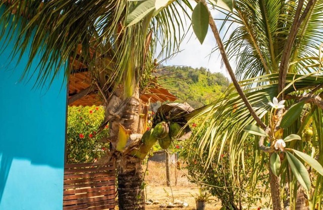 Casa Pitanga Noronha