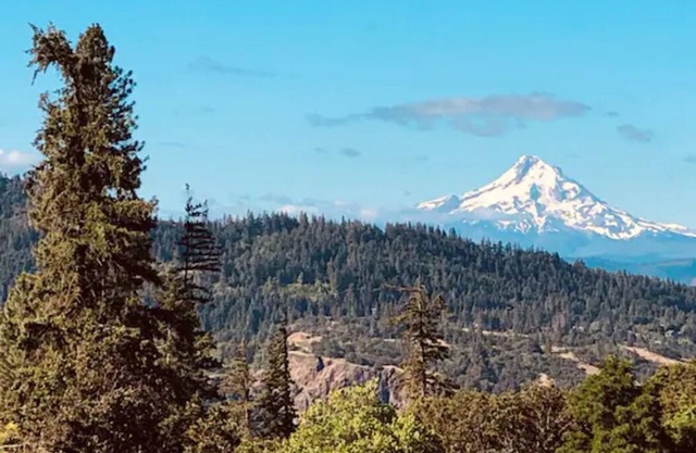 Casa Roja - Mt Hood view townhome in the heart of White Salmon