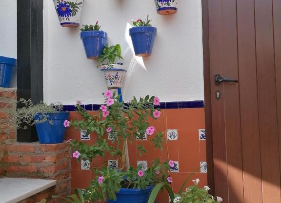 Casa Rural Patio Rociero