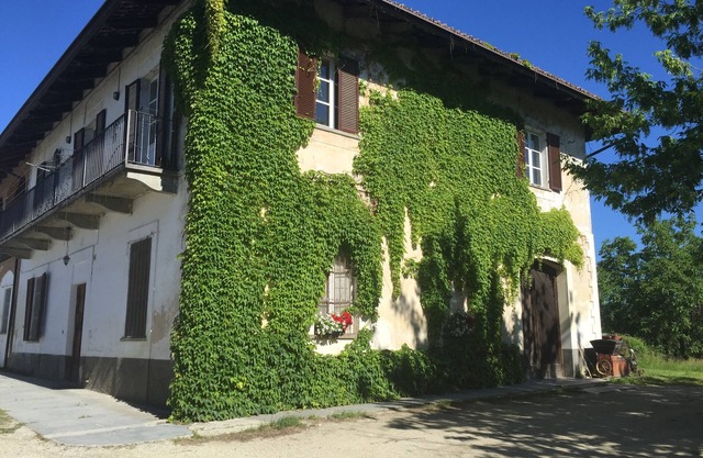 Cascina Garbianotto, entre bois et vignes