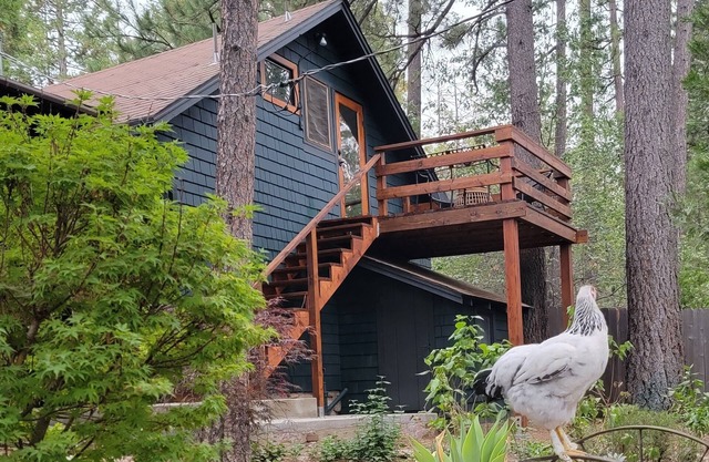 Casita Ranchita Mountain Loft in Town