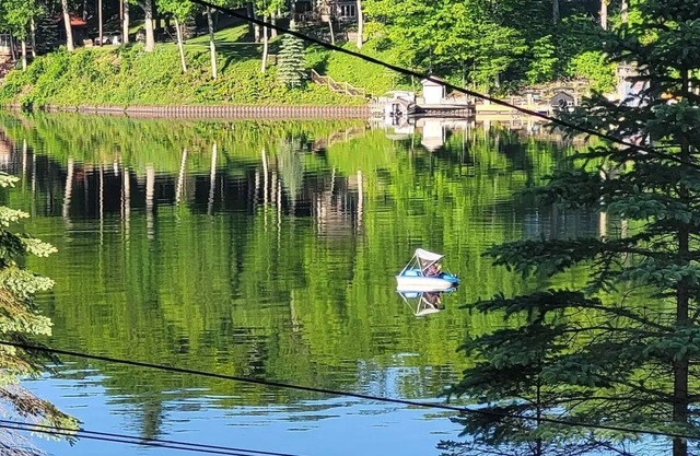 Charming 2-bedroom cottage in Newaygo with WiFi and AC #4