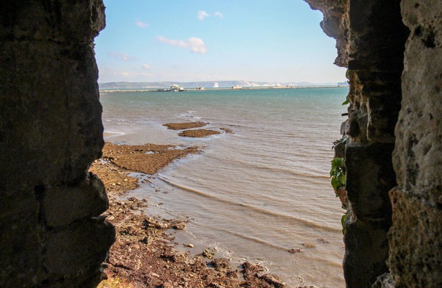 Castle Cove View