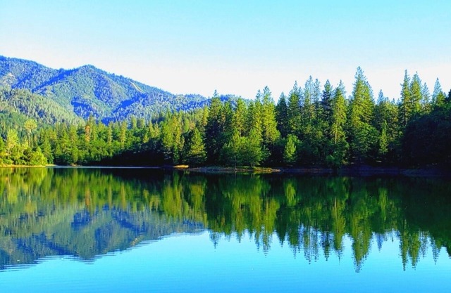 'Château de Shasta Lake' - GREEN