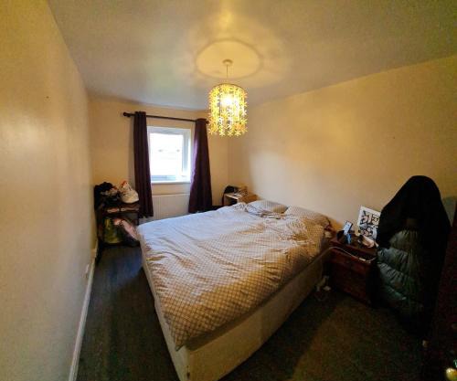 Catford double room