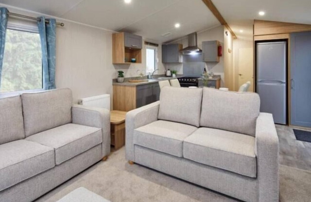 Cayton Bay Kestrel40