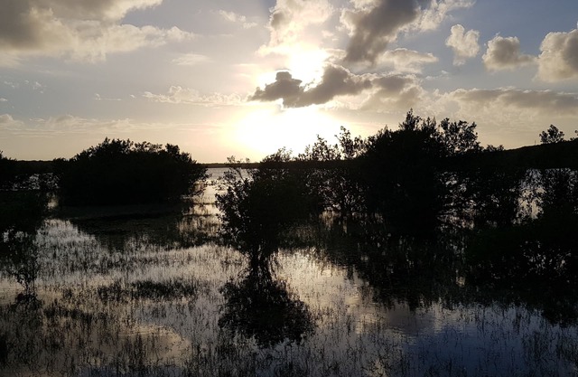 Villas Ce'Van à Grog Pond - "Nature's Nest Of Comfort"