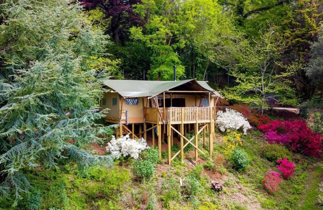 Cedar Lodge @ Lower Coombe Royal- with Hot Tub