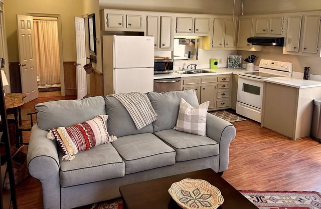 Centennial Park Loft - 1 Bed/1Bth - Downtown Hartsville