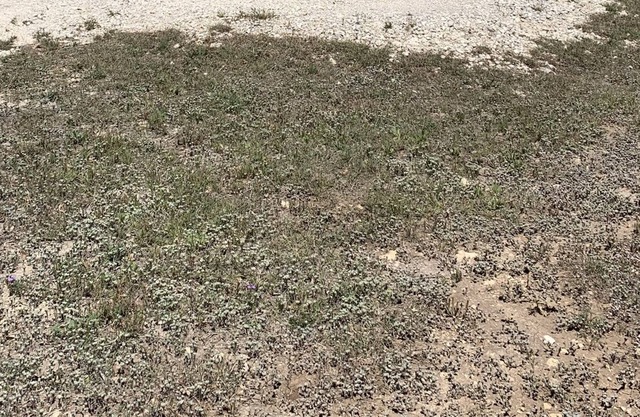 Center Point, Kerrville, Bandera, Fredricksburg centrally located
