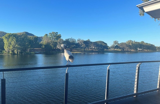 Central Thuringowa willows Riverway & ross river naturist CO retreat
