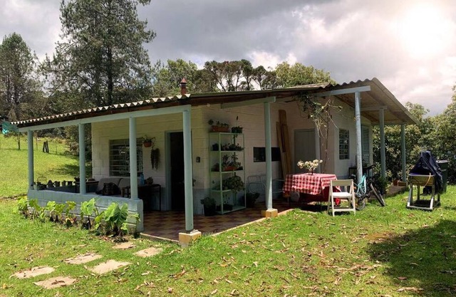 Cerro verde