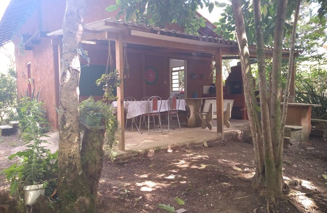 Guinea grass farm with a beautiful chalet