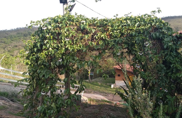 Vila Canto da Floresta - ET Chalet