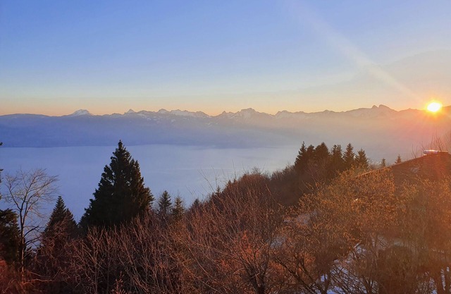 Chalet Chalon