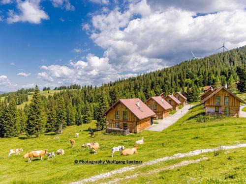 Chalet in Alps with Private Sauna