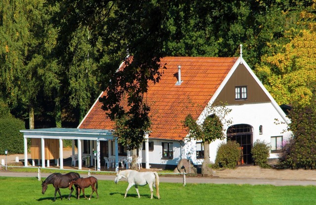 Chalet א Ootmarsum avec jardin