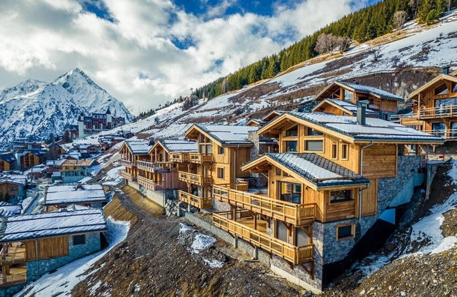 CHALET PREMIERE LOGE 12 PERSONNES VUE DOMINANTE