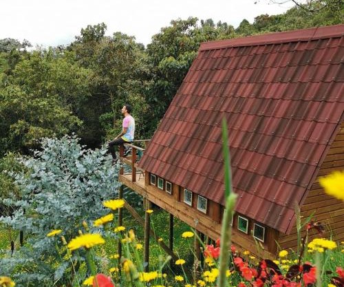 Chalets en Santa Elena en medio del Bosque