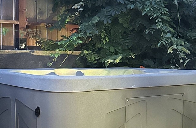 Chapel Hill/Durham retreat; hot tub, massage chair, massaging shower.