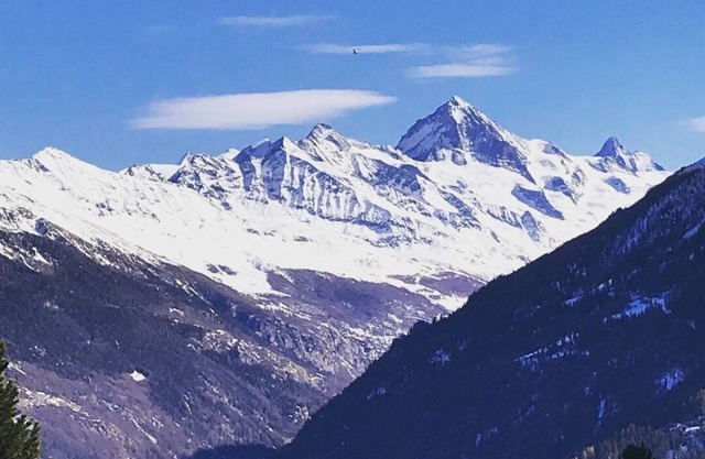 Charmant appart 2,5 pces pour vacances à Thyon
