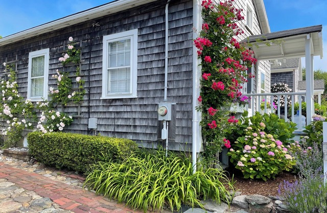 Charming 1 bedroom 1 bath fishing cottage in historic Nantucket Town.