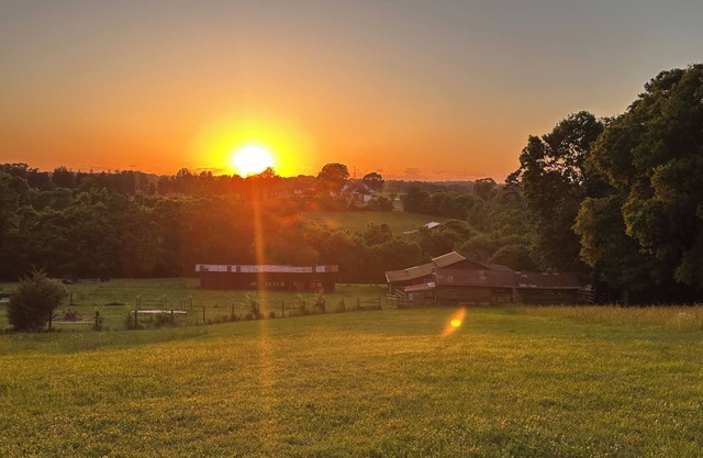 Charming 1-bedroom farm guesthouse in Lexington with WiFi and AC