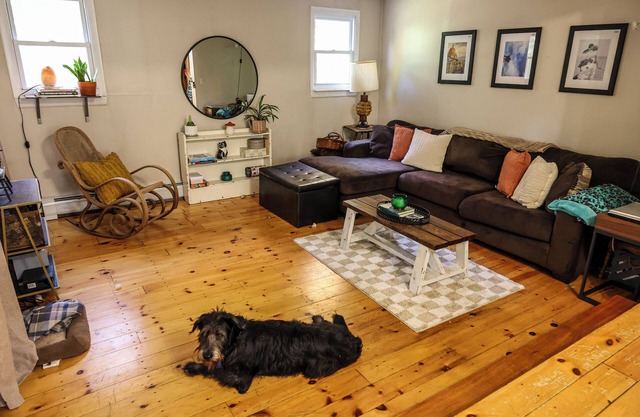 Charming 1-bedroom house. Close to everything, But quiet area. Pet Friendly