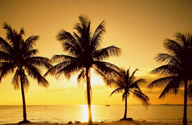 Charming 1-bedroom in Key Biscayne with Pool close to the Beach -
