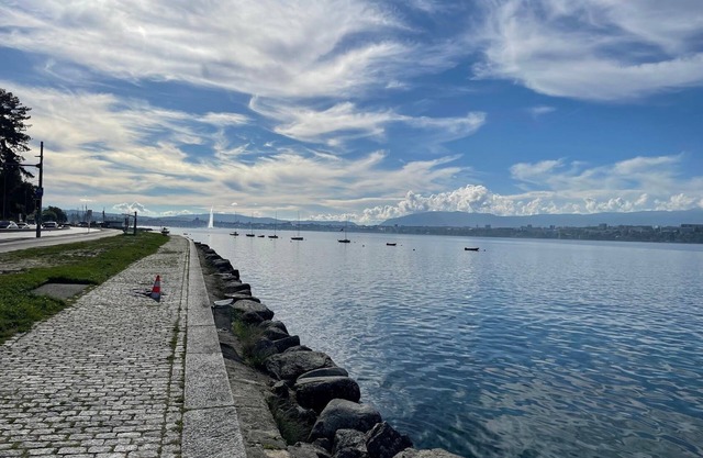 Charming 19th-century home & attached apartment: Geneva, Annecy, Chamonix, Lake