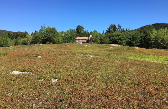 Charming 2-bedroom cabin in fabulous Southwest Harbor adjacent to Acadia