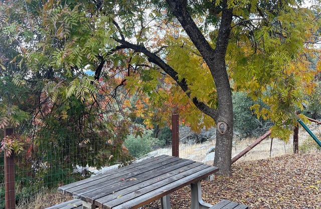 Charming 2-bedrm cabin with remarkable 40ft wall of windows overlooking Oakhurst