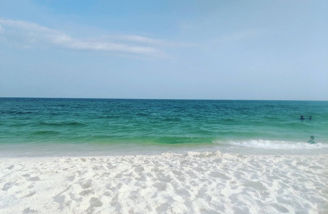 Charming 2-bedroom cottage in Pensacola close to beach and downtown