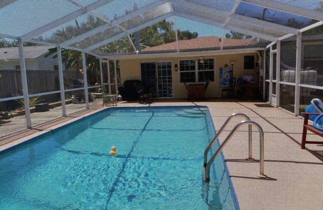 This is a nice house with a swimming pool.