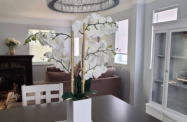 Charming 3-bedroom retreat in the heart of Detroit with fitness area, WiFi, AC