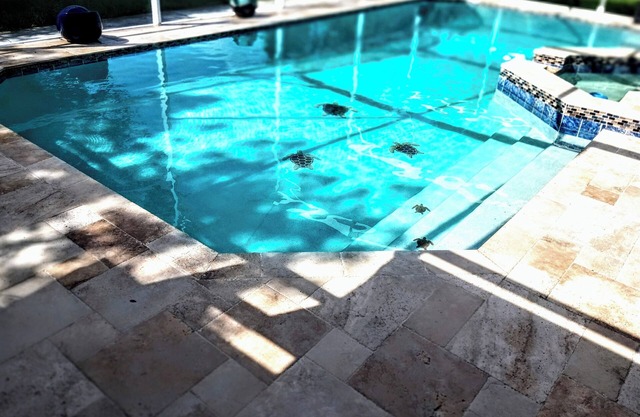 Charming 3-bedroom house with WiFi, AC in Winter Park