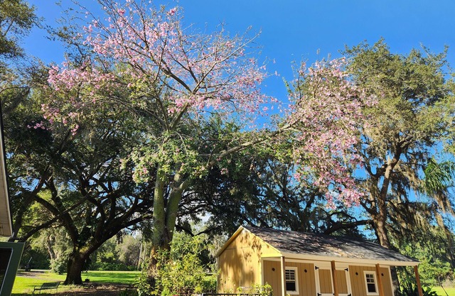 Charming 4-bedroom house with AC and WiFi near Orlando airport and lake nona