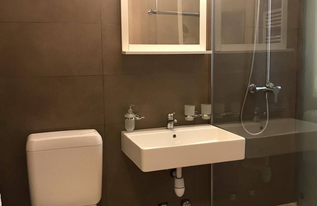 Charming Apartment in Geneva