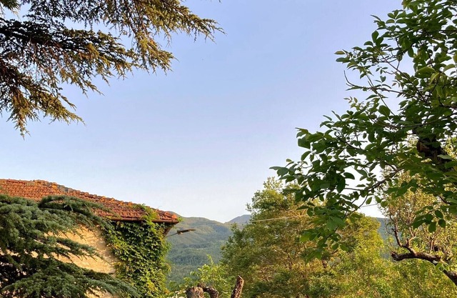 Appartement en Demeure de caractère - Lizzano in Belvedere