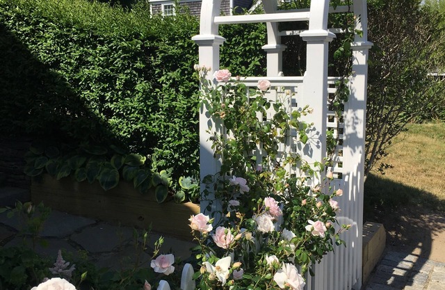 Prime Nantucket Town Location - Charmant, pratique et abordable