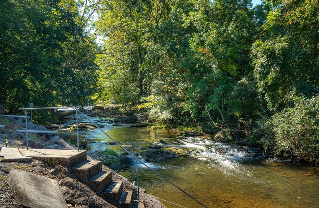Charmant cottage juste sur Cosby Creek! Profitez de la cascade du porche!