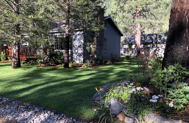 Petite maison de charme, Gateway à la Sierra Outback, à quelques minutes du lac Tahoe