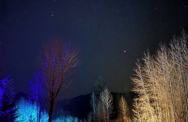Charming Farmhouse Amazing View of Mt. Rainier - Family Friendly + Game Barn